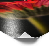 Impression Photo Fleur rouge Gerbera (Coin)