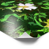 IMPRESSION PHOTO FLEUR SAUVAGE (Coin)