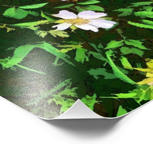 IMPRESSION PHOTO FLEUR SAUVAGE (Coin)