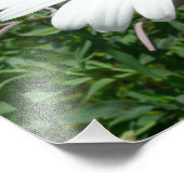 Impression Photo Fleur sauvage Daisy et Fireweed (Coin)