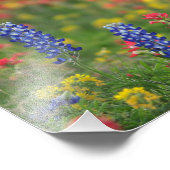 Impression photo Fleur sauvage du printemps (Coin)