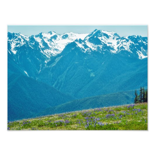 Impression Photo Fleur sauvage et Montagnes (Devant)