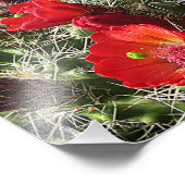 Impression Photo Fleur sauvage - Grand Canyon - Arizona (Coin)