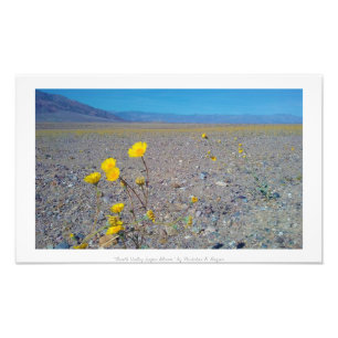 Impression Photo "Fleur superbe de Death Valley," nature