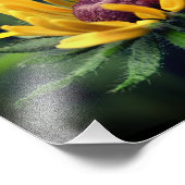 Impression Photo Fleur Susan Jouée Noire dépliant 8x10 (Coin)