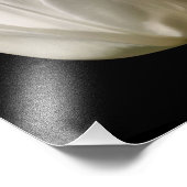 Impression Photo Fleur Tulipe Blanche Au Soleil 8x10 (Coin)