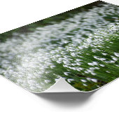 Impression Photo Fleurs (Coin)