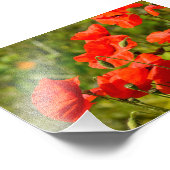 Impression Photo Fleurs (Coin)