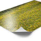 Impression Photo Fleurs (Coin)