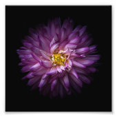 Impression Photo Fleurs 20 (Devant)