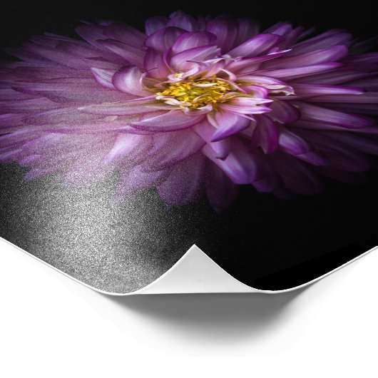 Impression Photo Fleurs 20 (Coin)