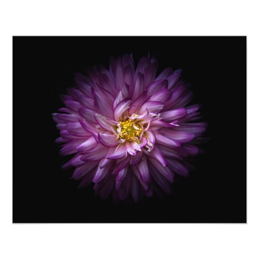 Impression Photo Fleurs 20 (Devant)