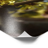 Impression Photo Fleurs à puces de sorcière (Coin)