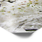 Impression Photo Fleurs cerises 12 Imprimer (Coin)