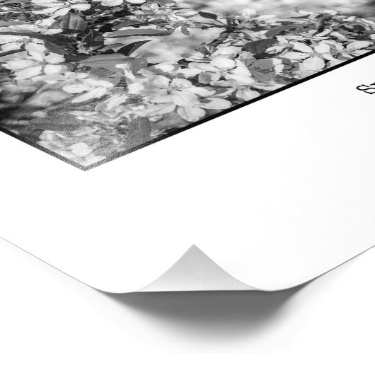 Impression Photo Fleurs d'Apple (Coin)