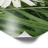 Impression Photo Fleurs de 24 x 36 po (Coin)