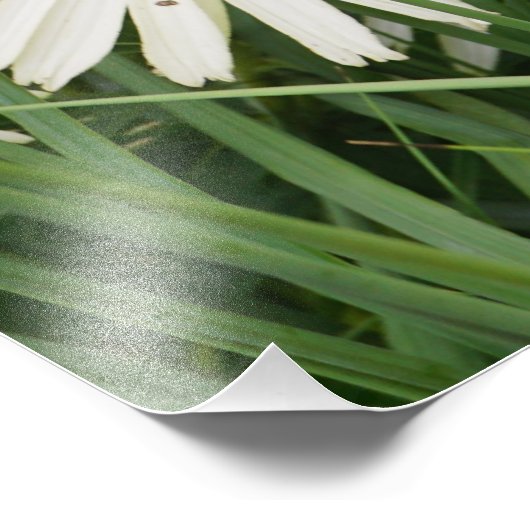 Impression Photo Fleurs de 24 x 36 po (Coin)