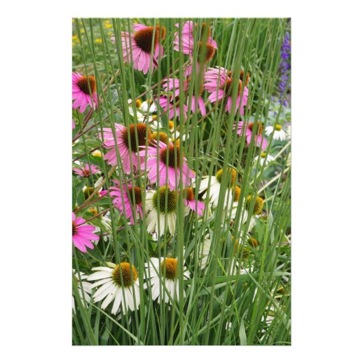 Impression Photo Fleurs de 24 x 36 po (Devant)