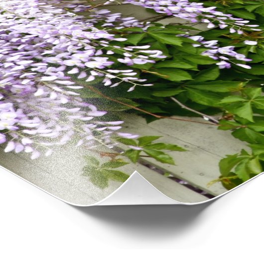 Impression Photo Fleurs de bactéries 3 (Coin)