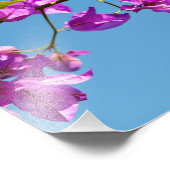 Impression Photo Fleurs de bougainvillée (Coin)