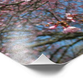 Impression Photo Fleurs de cerisier et fleurs de printemps roses d' (Coin)