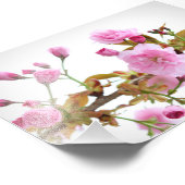 Impression Photo Fleurs de cerisiers roses doubles au printemps de  (Coin)