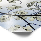 Impression Photo Fleurs de cornouiller et ciel bleu (Coin)