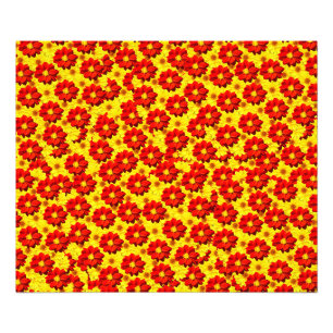 Impression Photo Fleurs de dahlia rouges et jaunes