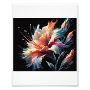 Impression Photo Fleurs de Gladius en fleurs sur fond noir,