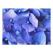 IMPRESSION PHOTO FLEURS DE JARDIN (Devant)