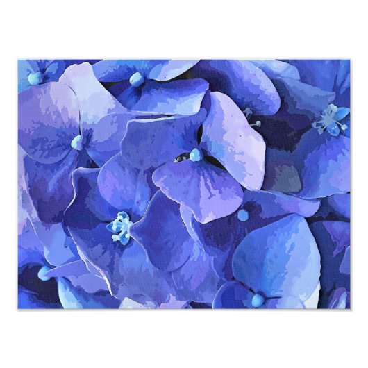 IMPRESSION PHOTO FLEURS DE JARDIN (Devant)