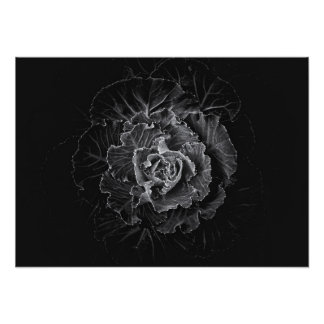 Impression Photo Fleurs de jardin en noir et blanc n° 100