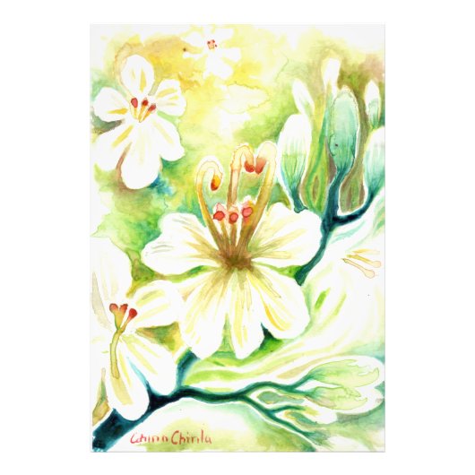 Impression Photo Fleurs de Moringa (Devant)