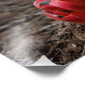 Impression Photo Fleurs de neige (Coin)