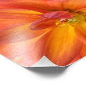 Impression Photo Fleurs de NYC (Coin)