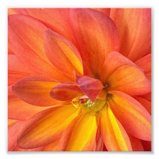 Impression Photo Fleurs de NYC (Devant)