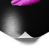 Impression Photo 'Fleurs de périwinkle après la pluie' (Coin)