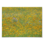 Impression Photo Fleurs de prairie (Devant)