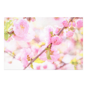 Impression Photo Fleurs de sakura roses - Fleur de cerisier japonai