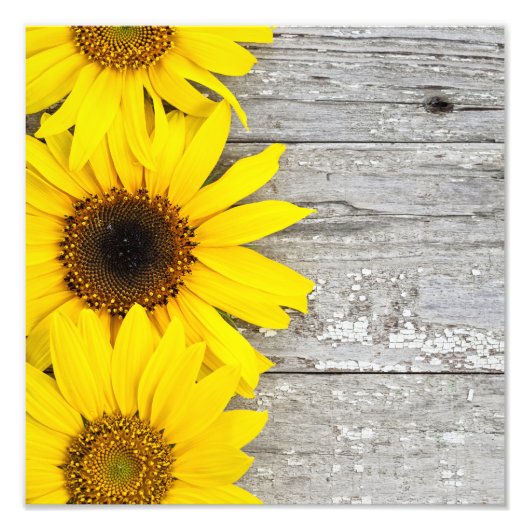 Impression Photo Fleurs de soleil sur une table (Devant)
