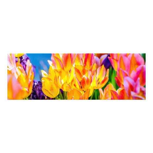 Impression Photo Fleurs de Tulipe - Prospérer (Devant)