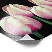 Impression Photo Fleurs de tulipe rose 8x10 (Coin)