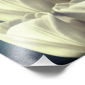 Impression Photo Fleurs de tulipes blanches Art 8x10 (Coin)