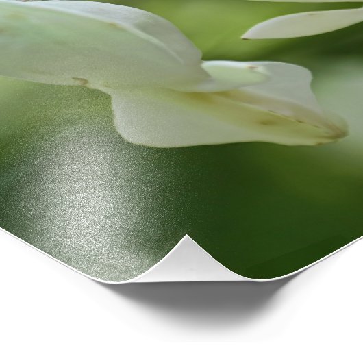 Impression Photo Fleurs des Coeurs Blanches (Coin)