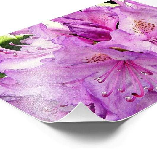 Impression Photo Fleurs d'été (Coin)