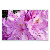 Impression Photo Fleurs d'été (Devant)