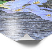 Impression Photo Fleurs d'Iris Violet Clair (Coin)