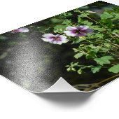 Impression Photo Fleurs d'observation (Coin)