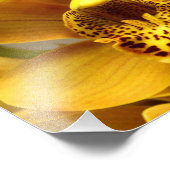 Impression Photo Fleurs d'orchidées jaunes (Coin)