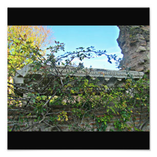 Impression Photo Fleurs du Forum Romain